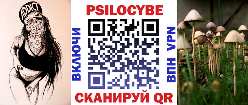 хочу наркоту Разумное Псилоцибиновые грибы прущие грибы